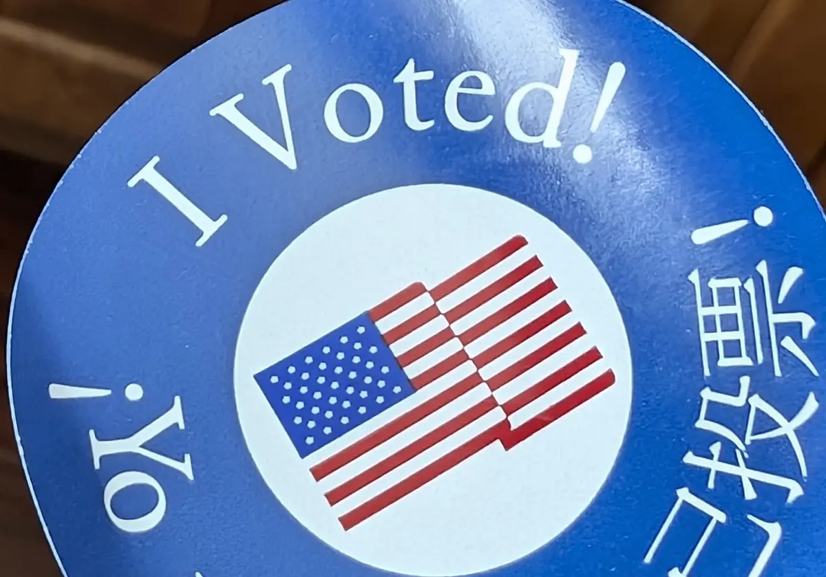I Cast My Vote, and I'm Proud of It!