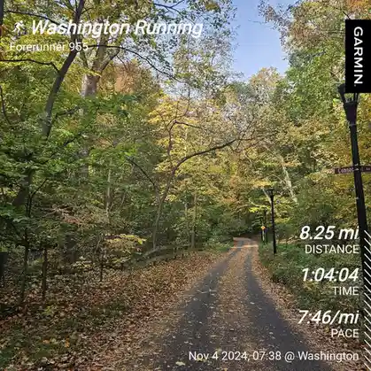 A Garmin Forerunner 955 running GPS screenshot shows a scenic autumn trail in Washington with leaves on the ground and trees…