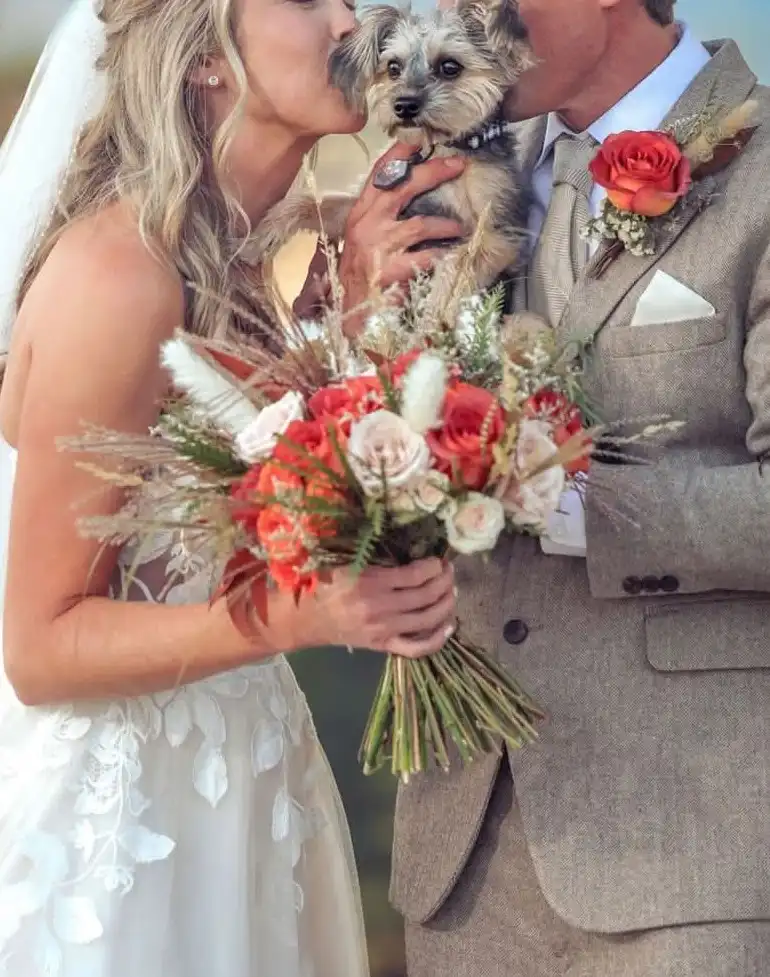 A bride and groom in wedding attire are both kissing a small Yorkshire Terrier dog they're holding. The bride wears a white…