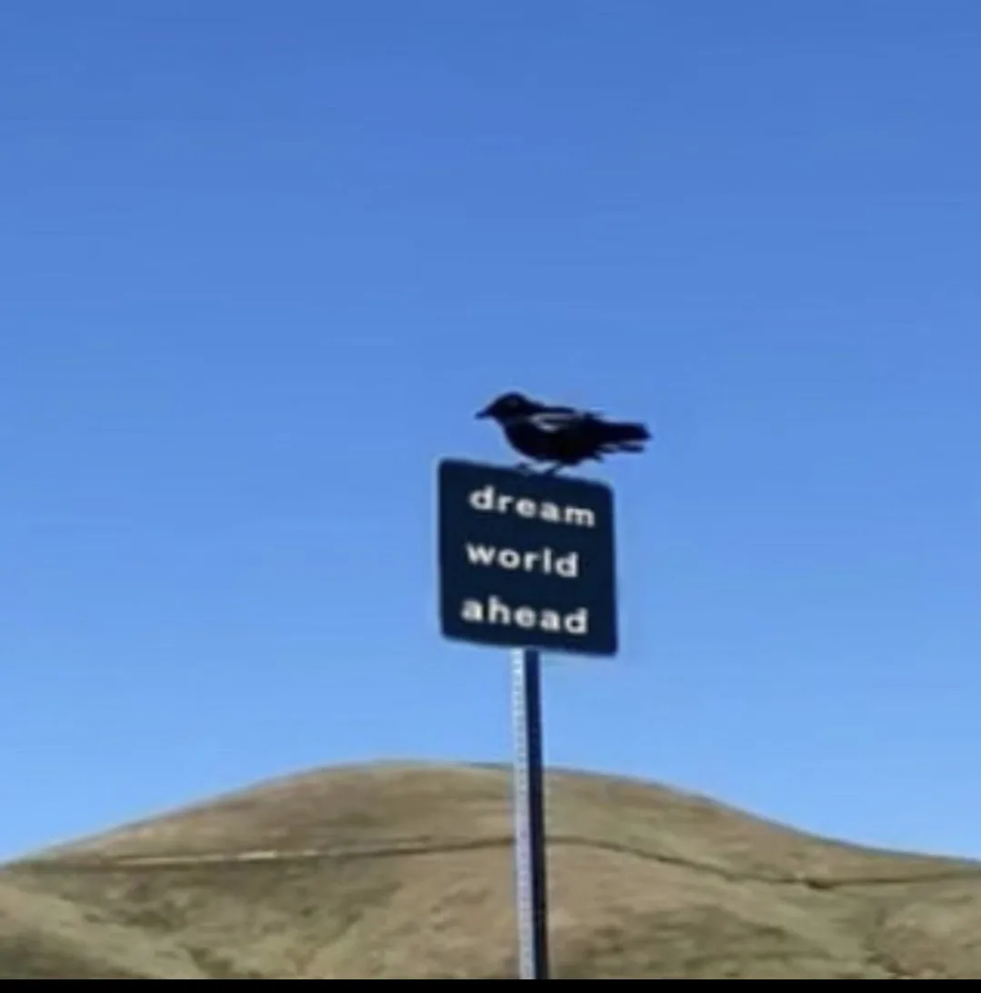 A black bird perches atop a dark blue road sign that reads 'dream world ahead' in white text, set against a clear blue sky…