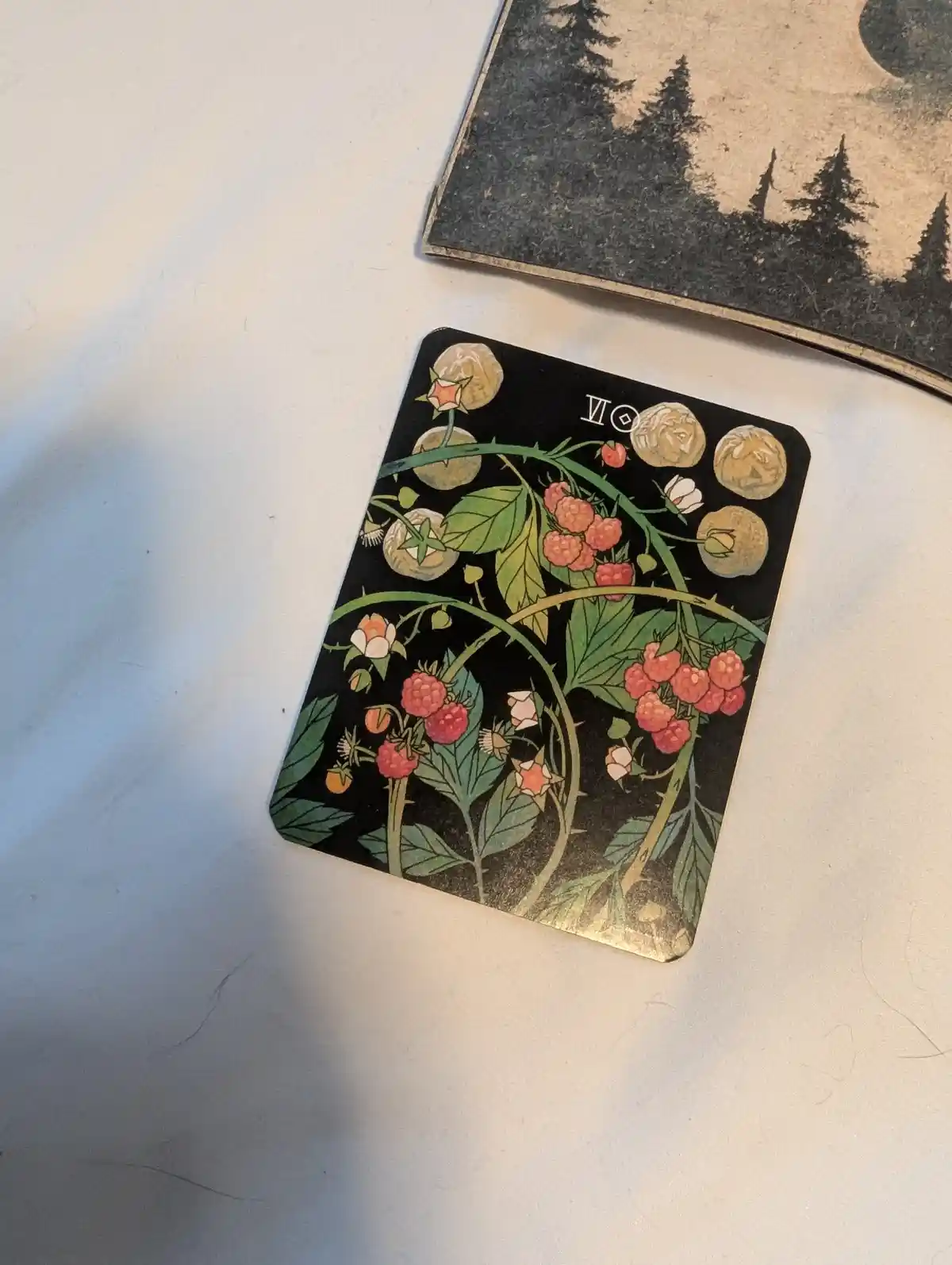 A tarot card, the Six of Cups, featuring a black background with illustrations of raspberry bushes, thorny vines, pink…