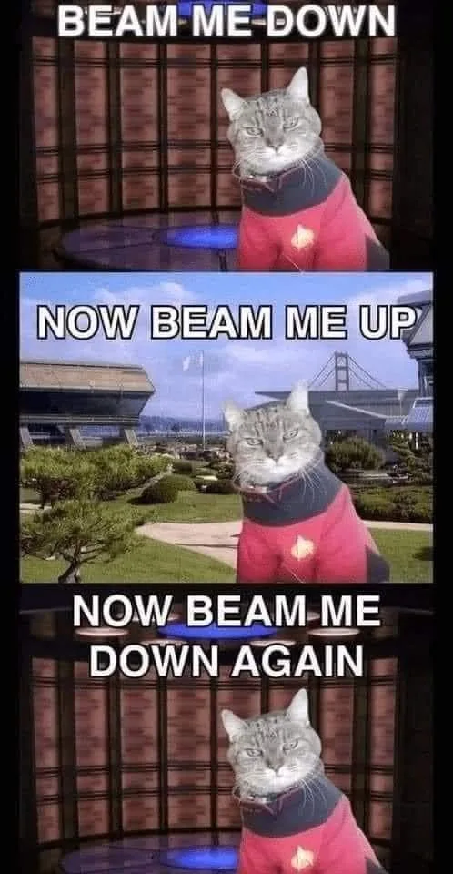 A gray tabby cat wearing a red Starfleet uniform appears in three panels. In the top and bottom panels, it sits in a Star…