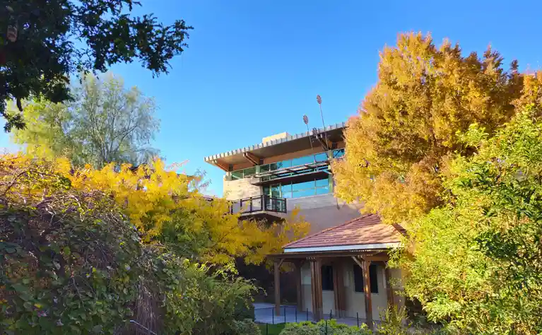 A modern house with large glass windows and wooden accents is partially obscured by vibrant yellow and green foliage under a…