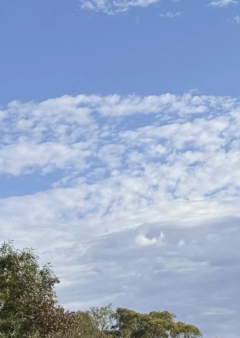 A photograph of a blue sky with scattered white clouds, with tree tops visible at the bottom. A specific cloud formation in…