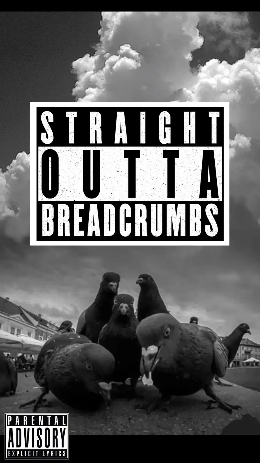 A black-and-white photo shows a group of pigeons gathered on pavement under a cloudy sky, with a large text overlay reading…