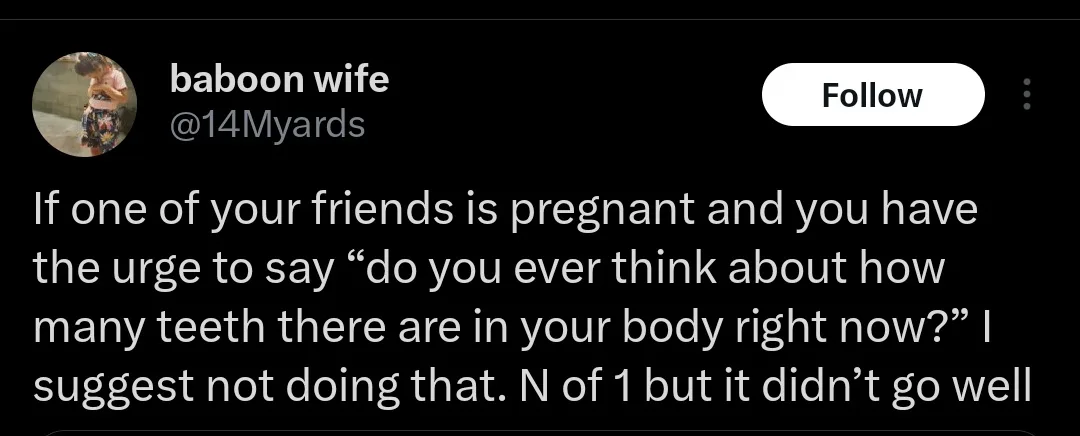 Contemplating Life's Big Questions