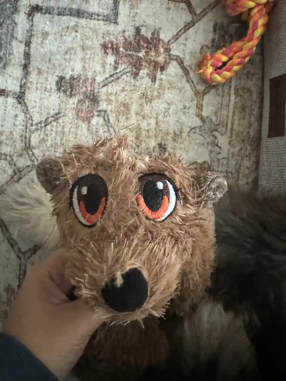A close-up photo shows a person's hand holding a worn, brown, furry stuffed animal toy with large, embroidered eyes and a…