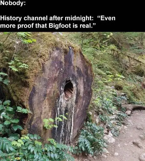 A moss-covered tree stump with a large, dark hole in its center, resembling a face or mouth, set in a forested area with…