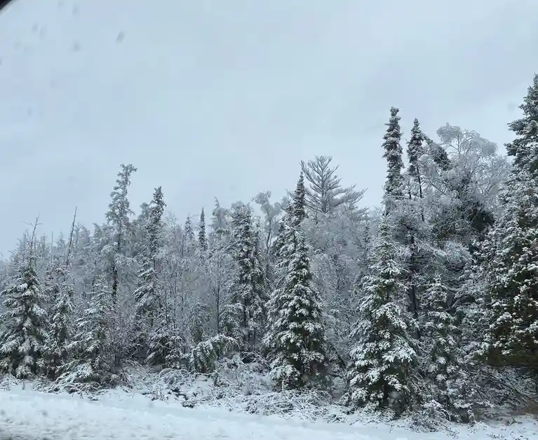 A snowy forest scene with evergreen trees heavily coated in snow under an overcast sky, viewed from a vehicle window with…