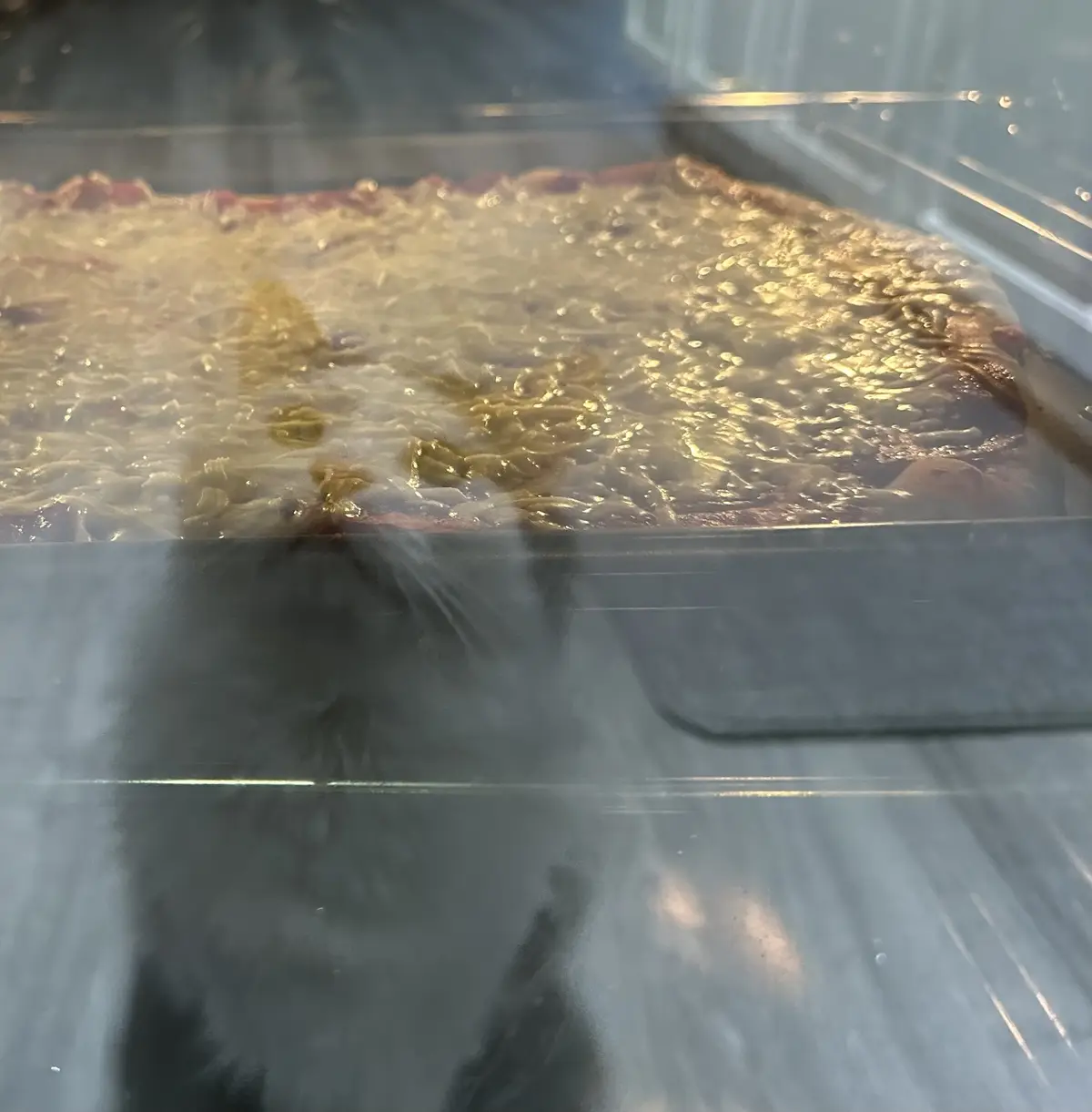 A close-up photo through an oven door shows a rectangular pizza baking inside, with melted cheese bubbling and slightly…