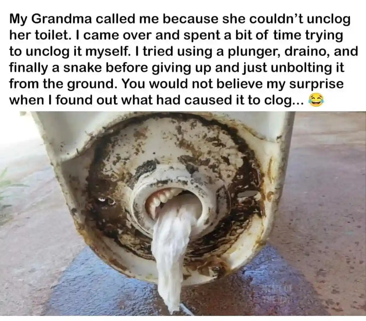 A close-up photo shows the bottom of a toilet that has been removed from the ground, revealing a grimy interior with a…