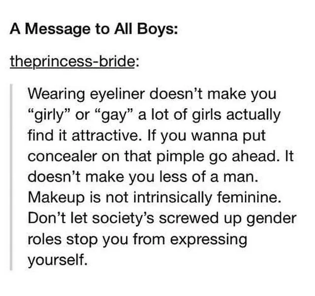 A white background image displays a message titled 'A Message to All Boys:' attributed to 'theprincess-bride:' The text is a…