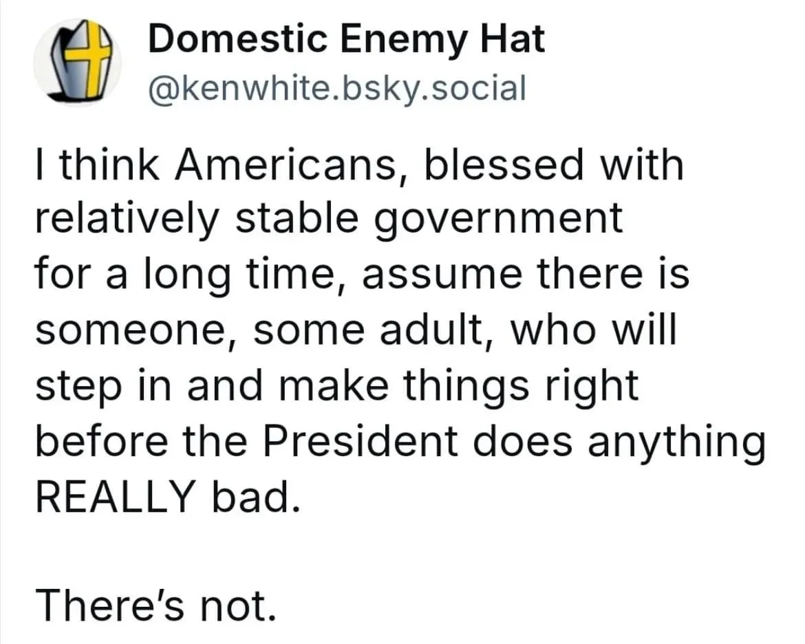 A screenshot of a social media post by 'Domestic Enemy Hat' with a shield-and-cross profile picture. The post reads: 'I…