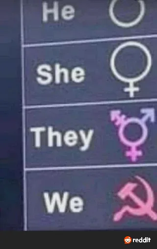 A screenshot of a gender selection menu with 'He' next to a circle, 'She' next to a female symbol, 'They' next to a pink…