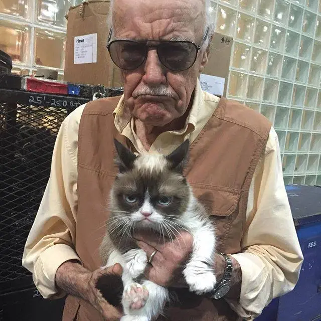 An elderly man with a mustache and dark sunglasses holds a grumpy-looking cat with a white face and brown patches. The cat…