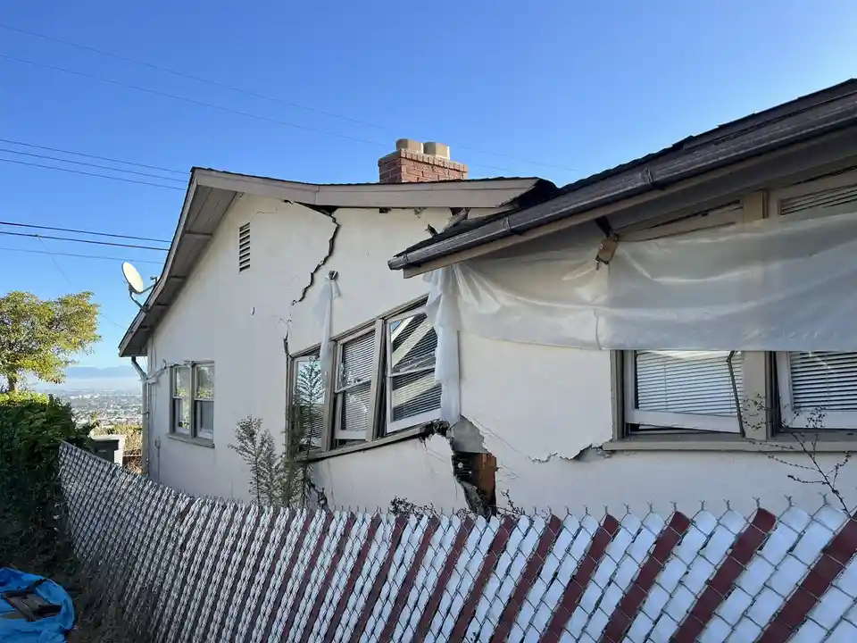 Unexpected Sightings from This Week's Structural Inspections