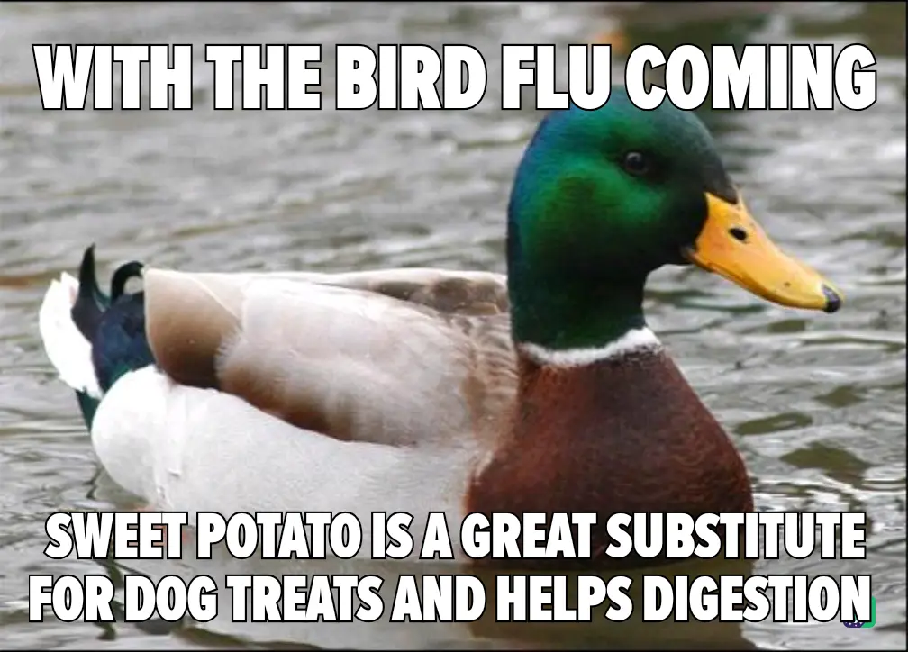 A mallard duck with a green head and white body is swimming in water. The image has bold white text overlaid: 'WITH THE BIRD…