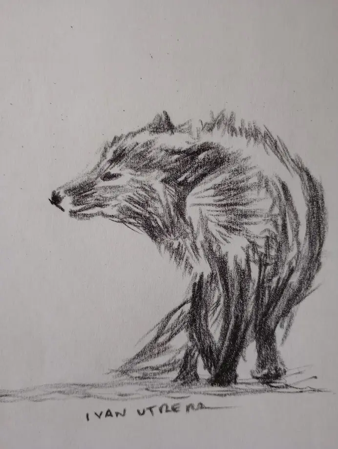 The Enigmatic Charm of the Fox