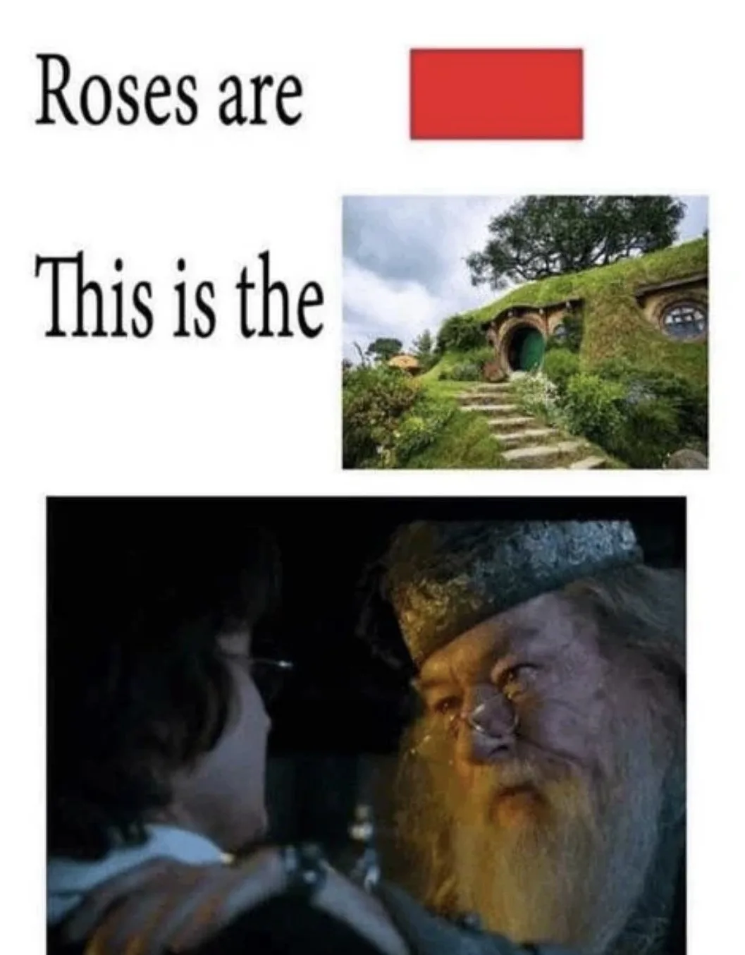 The image is a meme template with text 'Roses are' above a red rectangle, followed by 'This is the' above a picture of a…