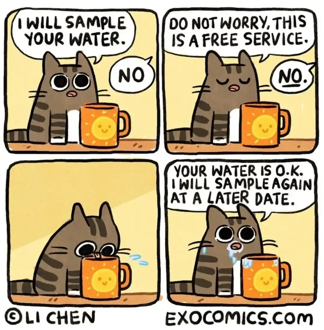A four-panel comic strip featuring a cartoon tabby cat with a sun-face mug. In panel one, the cat says 'I WILL SAMPLE YOUR…