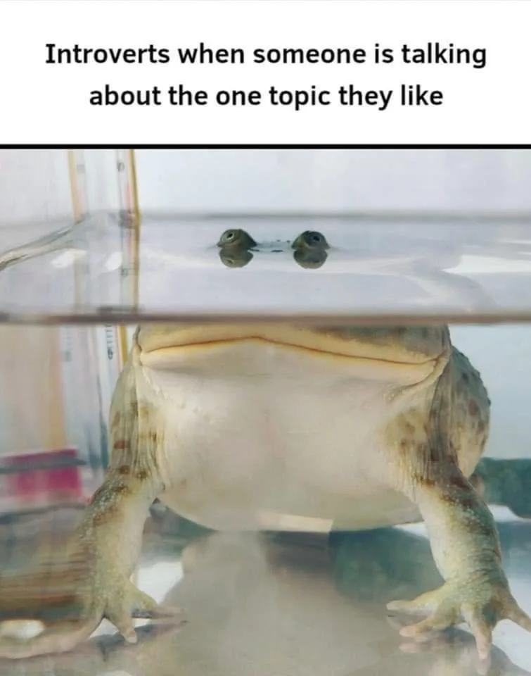 A Collection of 50 Hilarious Memes