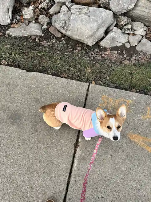 Taking a stroll in my favorite sweater!