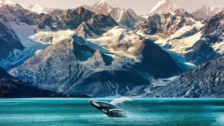 A picturesque splash that captures the beauty of nature.