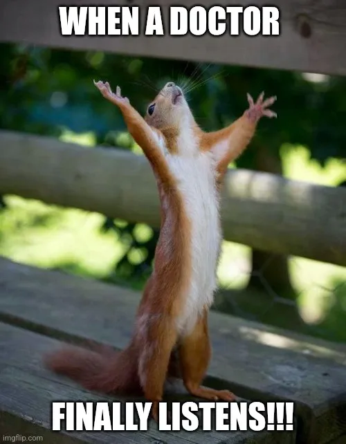 A red squirrel stands upright on a wooden bench with its arms raised in triumph, looking upward. The image has bold white…