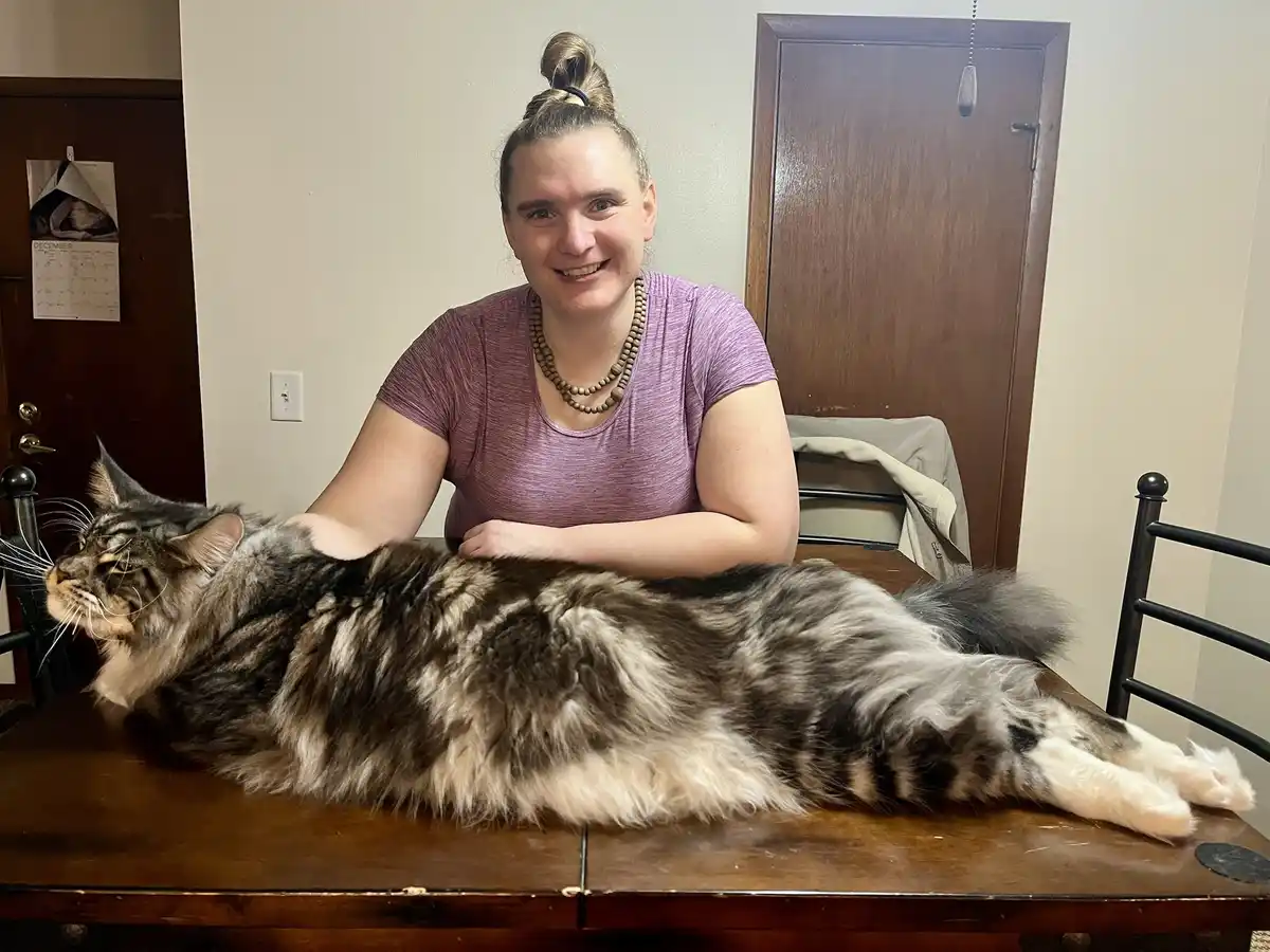 Celebrating Caturday Birthday Style!