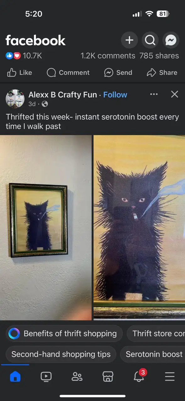A split-screen facebook post shows a framed painting of a black, spiky-haired cat smoking a cigarette on the left, and a…
