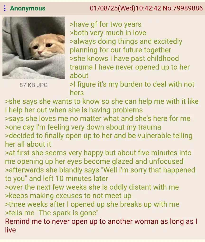 A sad-looking orange tabby cat is wrapped in a grey blanket. Overlaid text recounts a person's experience of opening up to…