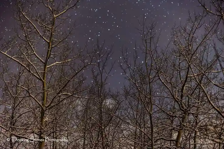 Stargazing Under the Colorado Night Sky