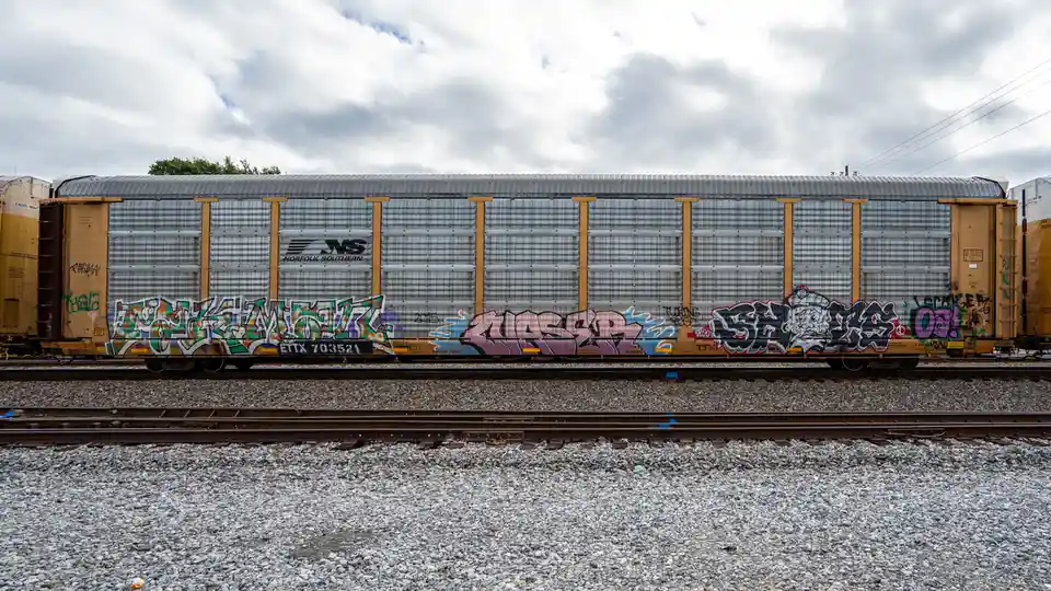 A Norfolk Southern freight train car covered in colorful graffiti sits on railway tracks under a cloudy sky. The overlaid…
