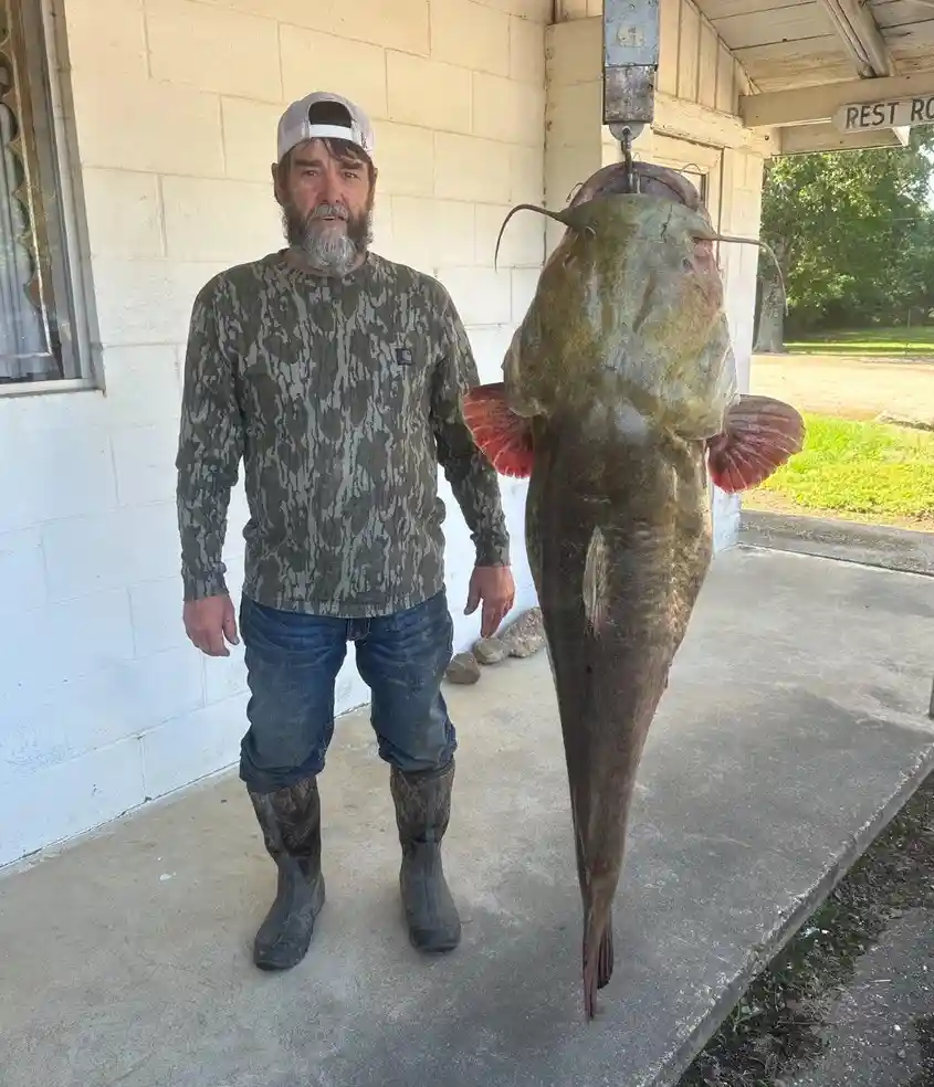 A bearded man in camouflage shirt and boots stands on a porch next to a massive catfish hanging from a scale. The fish is…