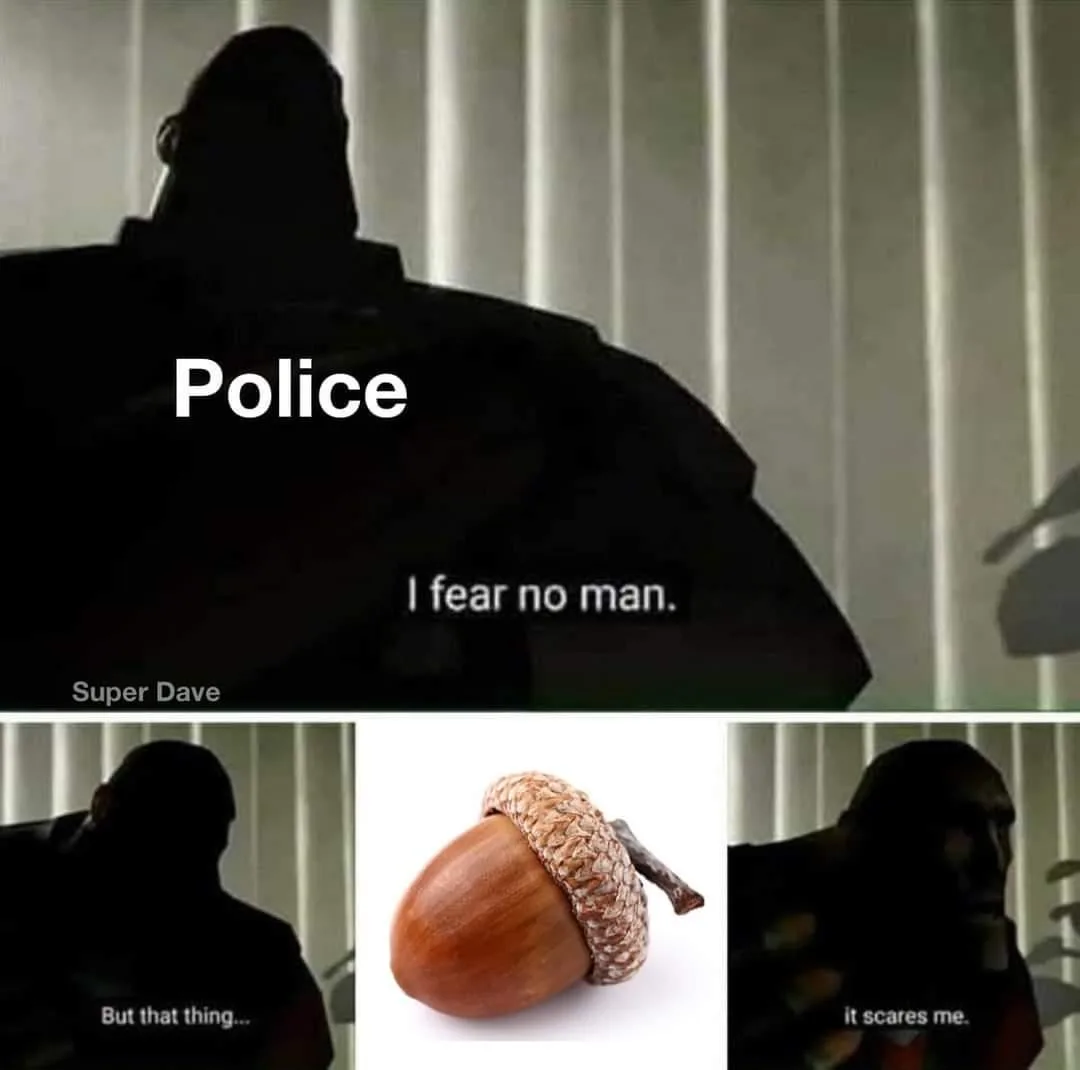 The image is a three-panel meme. The top panel shows a silhouette of a large man labeled 'Police' with the text 'I fear no…