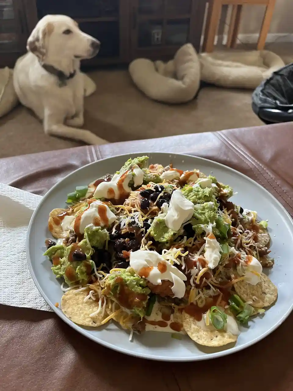 Enjoying Nachos with My Loyal Dog Ranger