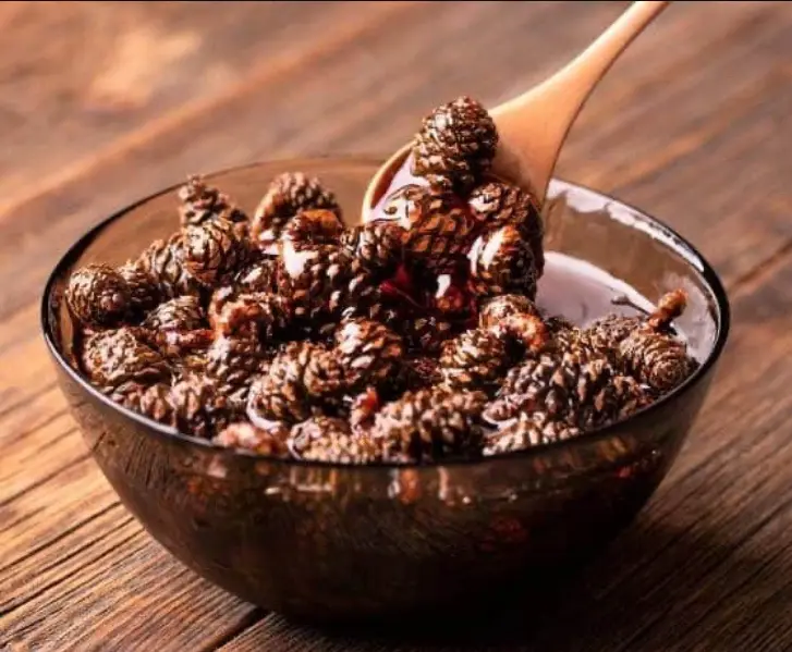 A cozy bowl filled with pinecone goodness!