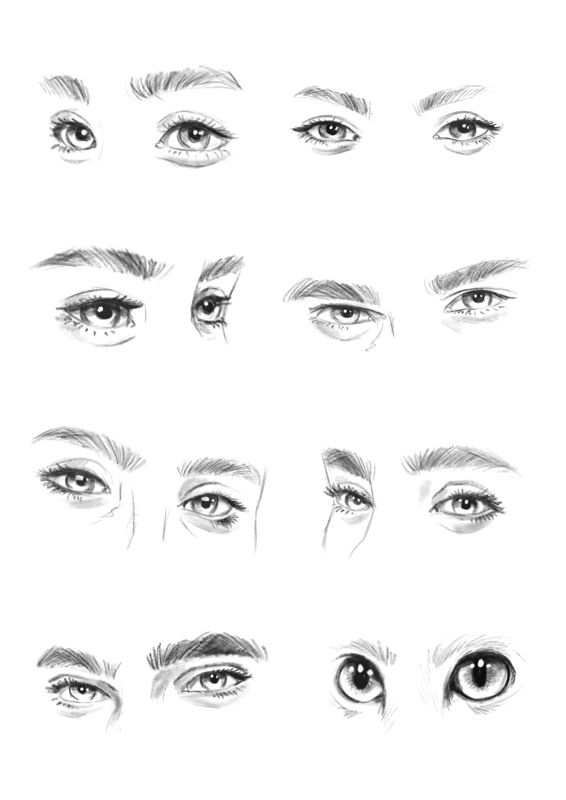 A grid of 16 pencil sketches showing various human eye and eyebrow combinations, each with different shapes, sizes, and…