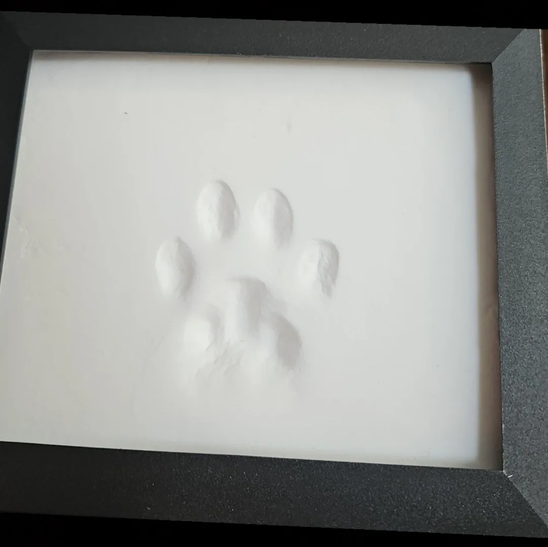 A framed, white, textured plaque displays a clear, raised paw print impression, likely made in plaster or similar material…