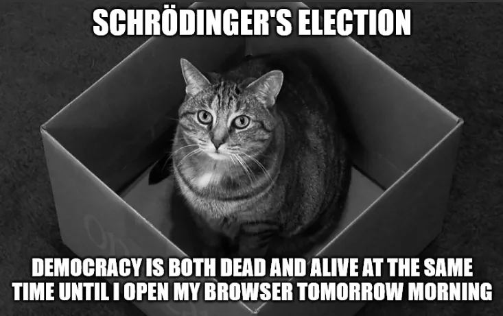 A black and white photo of a tabby cat sitting inside a cardboard box, looking directly at the camera. The image has white…