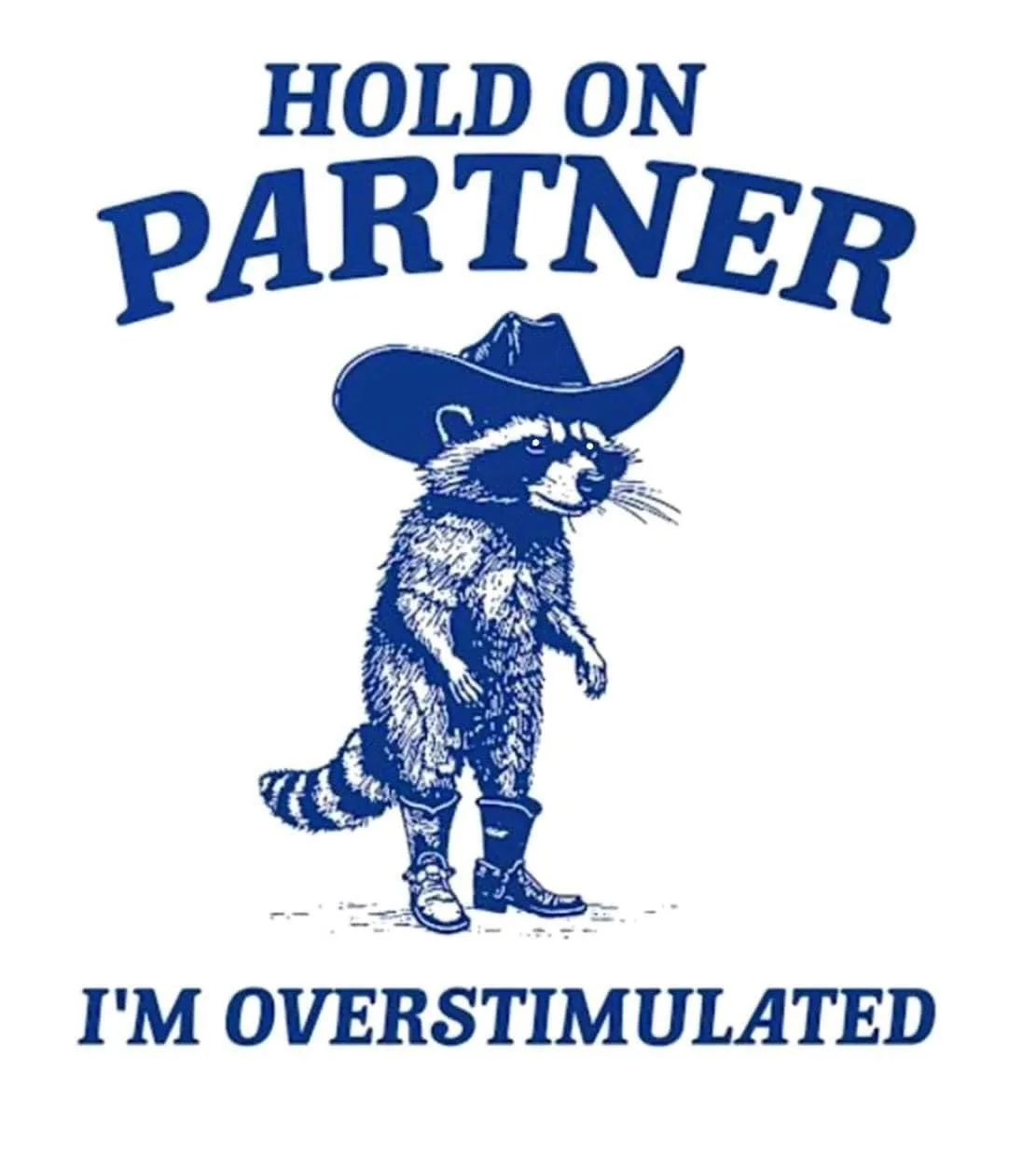 A blue ink illustration of a raccoon wearing a cowboy hat and boots, standing upright. Above it, the text reads 'HOLD ON…