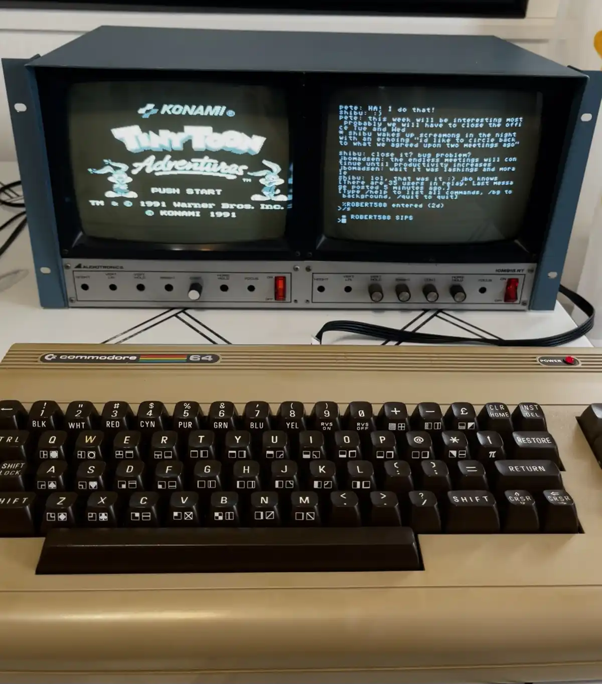 A Commodore 64 computer with a dual-screen monitor shows the 'Tiny Toon Adventures' game title on the left screen and a…