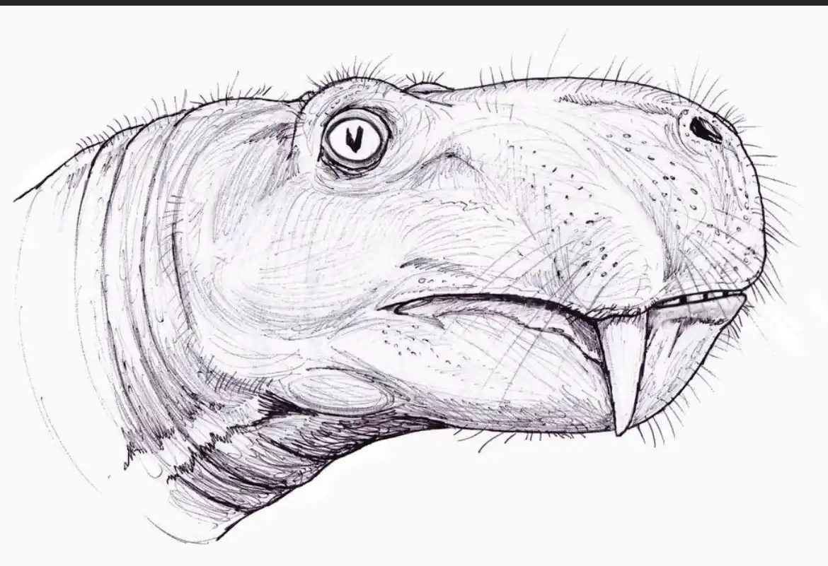 A detailed black-and-white pencil sketch shows the head of a prehistoric mammal, resembling a hippo or early whale, with…