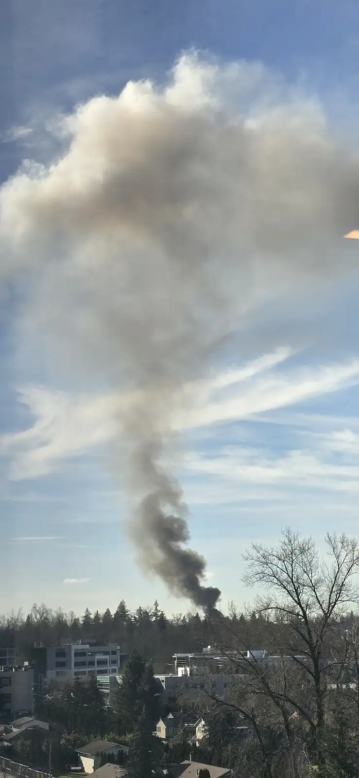 A tall, dark smoke plume rises from a distant forested area against a blue sky with scattered clouds, above a suburban…