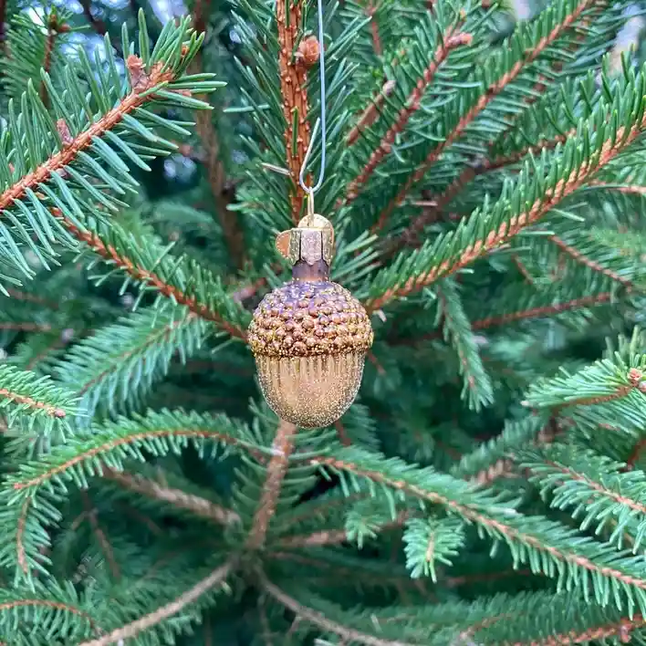 A close-up photo shows a glittery, gold-accented acorn-shaped Christmas ornament hanging from a pine tree branch. The…