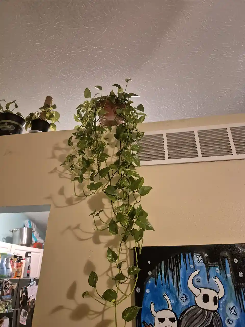 A lush green pothos plant cascades down from a pot placed on a shelf above a white vent, casting shadows on a beige wall…