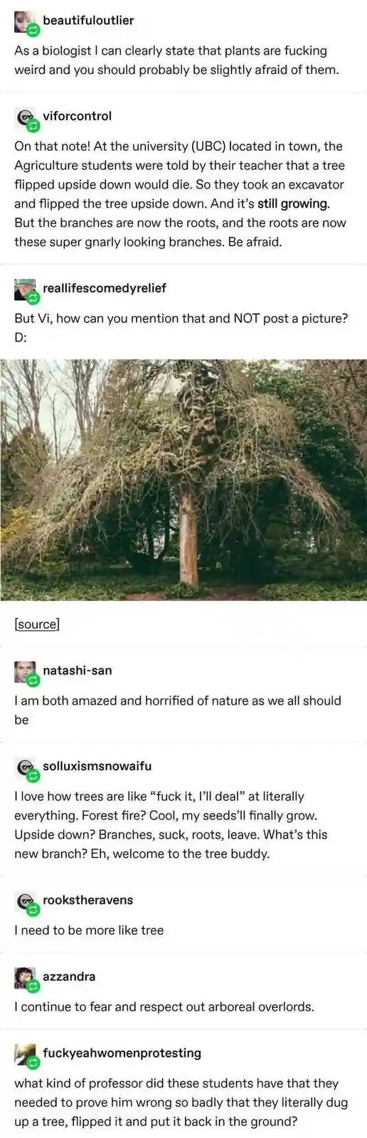The image shows a tree that has been flipped upside down, with its roots now growing upward and its branches hanging down…