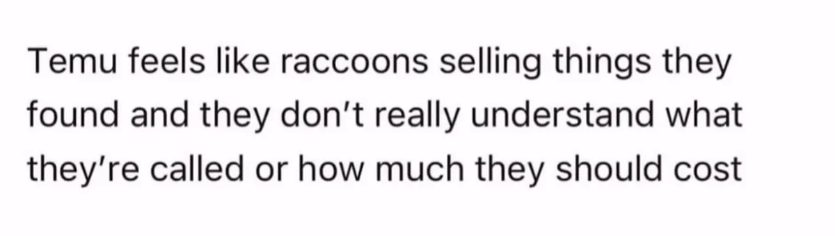 The image is a plain white background with black text that reads: 'Temu feels like raccoons selling things they found and…