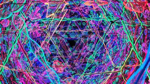 Peering into the Mystical Infinity Light Tubes