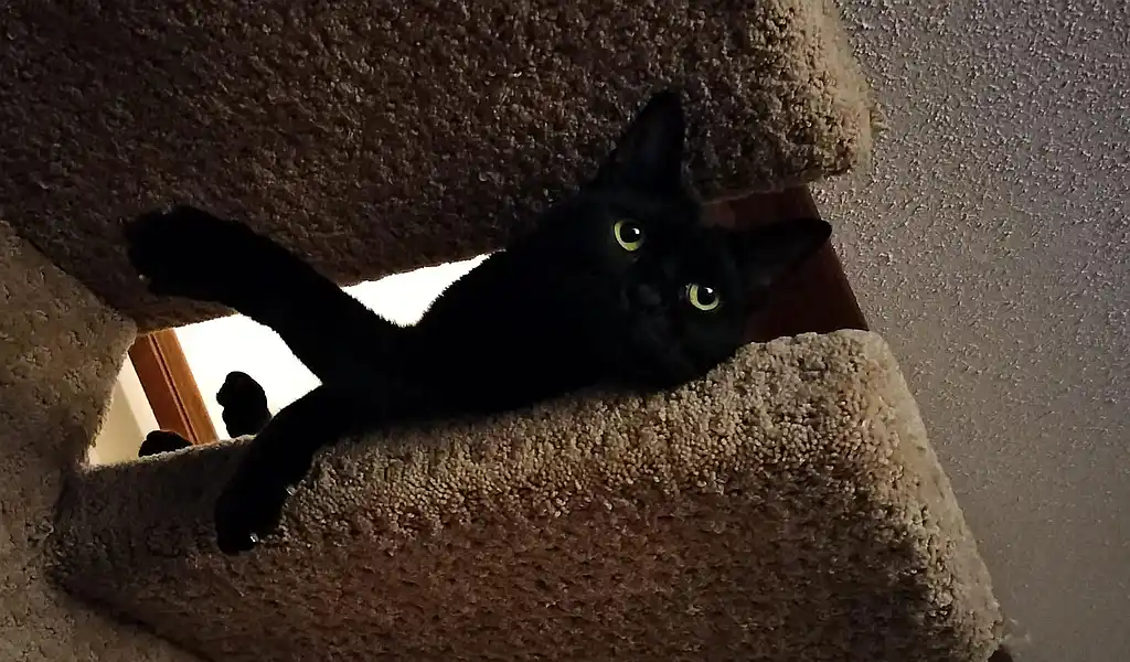 Mr. Barry's eyes are looking exceptionally captivating these days.